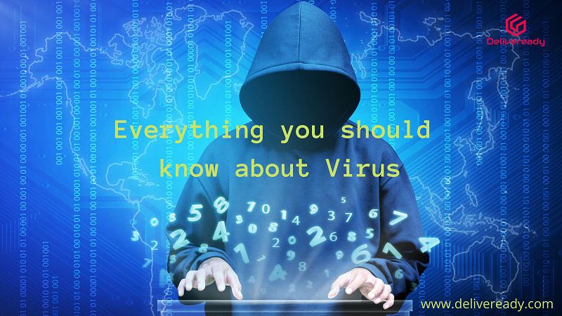 Read more about the article Everything you should know about Virus