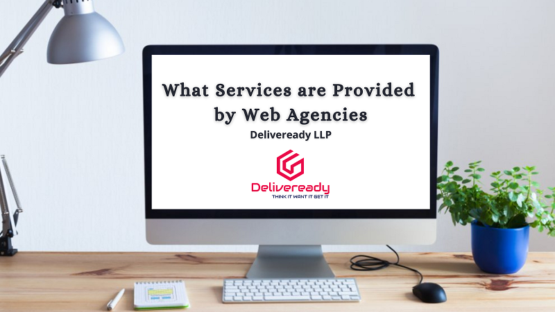 You are currently viewing What Services are Provided by Web Agencies